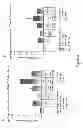 Fig. 09 - Immunogenic compositions and uses thereof