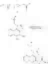 Fig. 09 - TARGETED SYNTHETIC NANOCARRIERS WITH PH SENSITIVE RELEASE OF IMMUNOMODULATORY AGENTS
