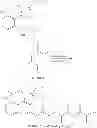 Fig. 19 - TARGETED SYNTHETIC NANOCARRIERS WITH PH SENSITIVE RELEASE OF IMMUNOMODULATORY AGENTS