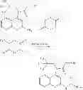 Fig. 20 - TARGETED SYNTHETIC NANOCARRIERS WITH PH SENSITIVE RELEASE OF IMMUNOMODULATORY AGENTS