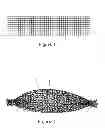 Fig. 02 - SHELLFISH PREPARATION PROCESS