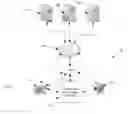 Fig. 02 - SYSTEMS AND METHODS FOR COFFEE PREPARATION