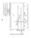 Fig. 06 - Rare-earth magnet and method for producing the same