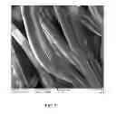 Fig. 04 - Polyurethane prepolymer prepared by functional polyurethane prepolymer and application thereof