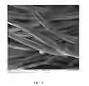 Fig. 10 - Polyurethane prepolymer prepared by functional polyurethane prepolymer and application thereof