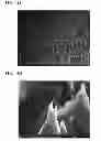 Fig. 03 - COMPOSITION FOR NANO-COMPOSITE LAYER WITH SUPERHYDROPHOBIC SURFACES, NANO-COMPOSITE LAYER WITH SUPERHYDROPHOBIC SURFACES FORMED THEREFROM, AND PREPARING METHOD THEREOF