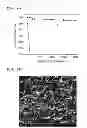 Fig. 06 - COMPOSITION FOR NANO-COMPOSITE LAYER WITH SUPERHYDROPHOBIC SURFACES, NANO-COMPOSITE LAYER WITH SUPERHYDROPHOBIC SURFACES FORMED THEREFROM, AND PREPARING METHOD THEREOF