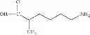 Fig. 08 - POLYMER, COMPOSITIONS AND PROCESS FOR PREPARING THEM