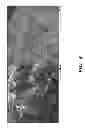 Fig. 04 - Coating Of Shield Surfaces In Deposition Systems
