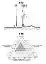 Fig. 02 - Silane composition and cured film thereof, and method for forming negative resist pattern using same