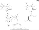 Fig. 147 - Monomer, polymer, resist composition, and patterning process