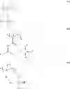 Fig. 152 - Monomer, polymer, resist composition, and patterning process