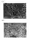 Fig. 02 - Powder for dental powder blasting