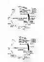 Fig. 06 - Codon-optimized gene for mutated shrimp luciferase and method for use thereof