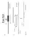 Fig. 05 - Methods to reduce repeats of identical nucleotides in copies of a target DNA molecule including such repeats
