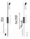 Fig. 07 - Methods to reduce repeats of identical nucleotides in copies of a target DNA molecule including such repeats