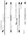 Fig. 08 - Methods to reduce repeats of identical nucleotides in copies of a target DNA molecule including such repeats