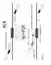Fig. 09 - Methods to reduce repeats of identical nucleotides in copies of a target DNA molecule including such repeats