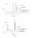 Fig. 06 - SIMULTANEOUS DETECTION OF MULTIPLE MIRNAS USING CAPILLARY ELECTROPHORESIS SYSTEM EQUIPPED WITH PLURAL LASER-INDUCED FLUORESCENCE DETECTORS