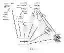 Fig. 05 - COMPOSITIONS AND METHODS FOR GENETIC ANALYSIS OF EMBRYOS