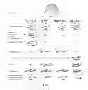Fig. 06 - COMPOSITIONS AND METHODS FOR GENETIC ANALYSIS OF EMBRYOS