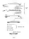 Fig. 09 - COMPOSITIONS AND METHODS FOR GENETIC ANALYSIS OF EMBRYOS