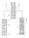 Fig. 06 - DETECTION OF GENETIC ABNORMALITIES USING LIGATION-BASED DETECTION AND DIGITAL PCR