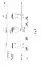 Fig. 04 - Genetic Test for the Identification of Carriers of Complex Vertebral Malformations in Cattle