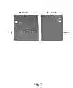 Fig. 08 - Genetic Test for the Identification of Carriers of Complex Vertebral Malformations in Cattle