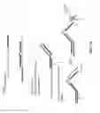 Fig. 23 - Chimeric primers with hairpin conformations and methods of using same
