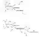 Fig. 01 - Rapid and Reliable Detection of Infectious Agents
