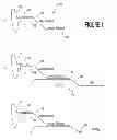 Fig. 02 - Rapid and Reliable Detection of Infectious Agents