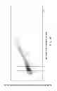 Fig. 100 - METHODS AND PROCESSES FOR NON-INVASIVE ASSESSMENT OF GENETIC VARIATIONS