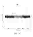 Fig. 108 - METHODS AND PROCESSES FOR NON-INVASIVE ASSESSMENT OF GENETIC VARIATIONS