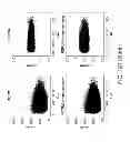 Fig. 133 - METHODS AND PROCESSES FOR NON-INVASIVE ASSESSMENT OF GENETIC VARIATIONS