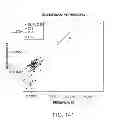 Fig. 137 - METHODS AND PROCESSES FOR NON-INVASIVE ASSESSMENT OF GENETIC VARIATIONS