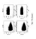 Fig. 170 - METHODS AND PROCESSES FOR NON-INVASIVE ASSESSMENT OF GENETIC VARIATIONS