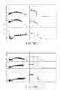 Fig. 77 - METHODS AND PROCESSES FOR NON-INVASIVE ASSESSMENT OF GENETIC VARIATIONS