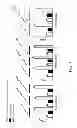 Fig. 08 - Method of detecting the presence of pneumococcal neuraminidases in -infected samples
