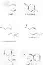 Fig. 09 - Allele-specific amplification