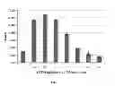 Fig. 10 - HEPATOCYTE PRODUCTION VIA FORWARD PROGRAMMING BY COMBINED GENETIC AND CHEMICAL ENGINEERING