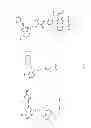 Fig. 13 - Uses of labeled HSP90 inhibitors