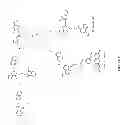 Fig. 14 - Uses of labeled HSP90 inhibitors