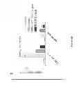 Fig. 17 - Uses of labeled HSP90 inhibitors