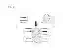Fig. 09 - METHODS AND APPARATUS FOR TARGET CELL MAGNETIC ENRICHMENT, ISOLATION AND BIOLOGICAL ANALYSIS