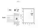 Fig. 02 - Methods and compositions for cytometric detection of rare target cells in a sample