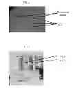 Fig. 02 - Magnetic separation of algae