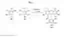 Fig. 02 - Phenyl xanthene dyes