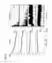 Fig. 06 - ARTIFICIAL LEAF-LIKE MICROPHOTOBIOREACTOR AND METHODS FOR MAKING THE SAME