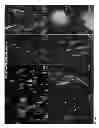 Fig. 08 - Protein-induced pluripotent cell technology and uses thereof